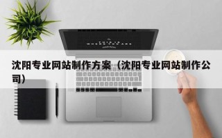 明港沈阳专业网站制作方案（沈阳专业网站制作公司）